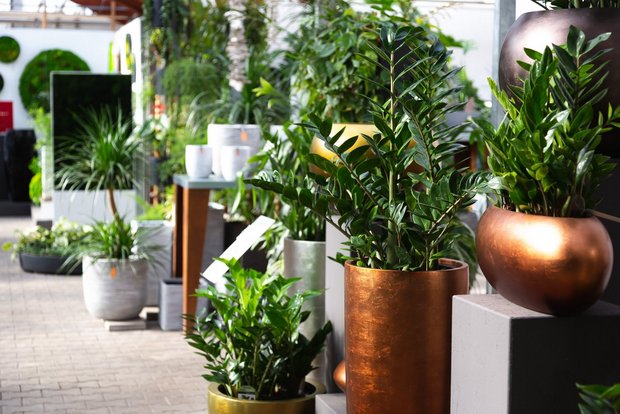 Ruof Showroom Esslingen Kreative Pflanzenlösungen und dekorative Begrünungen: Raumbegrünung im Ruof Showroom Esslingen.
