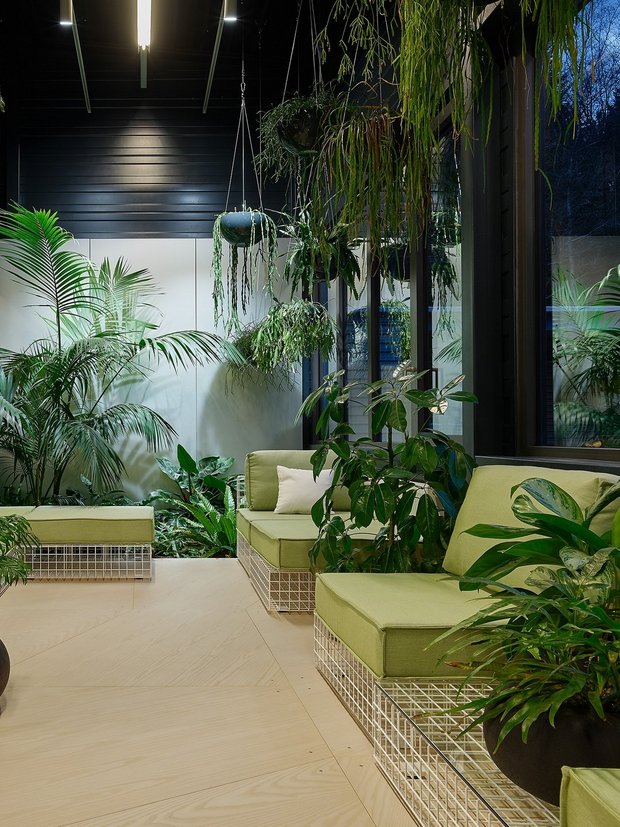 Von der Natur inspiriertes Gestaltungskonzept für Raumbegrünung Raumbegrünung in einem Aufenthaltsraum mit Fenstern links und rechts. Davor stehen Sofas und Liegen mit grünen Auflagen. Große Pflanzgefäße mit unterschiedlicher Bepflanzung stehen dazwischen. Vor der hinteren Wand sind große Pflanzen im Boden gesetzt. An der Decke hängen grün bepflanzte Halbschalen, sog. Ampelsysteme für eine harmonische Atmosphäre. Raumbegrünung in einer modernen Arbeitswelt nach Gestaltungskonzepten die von der Natur inspiriert sind.